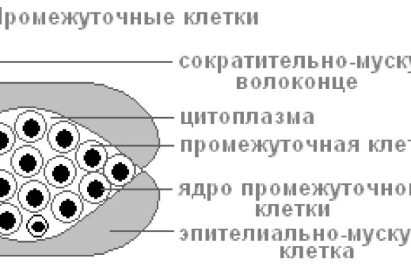 Кракен переходник ссылка